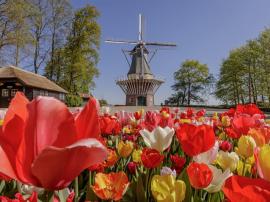 keukenhof